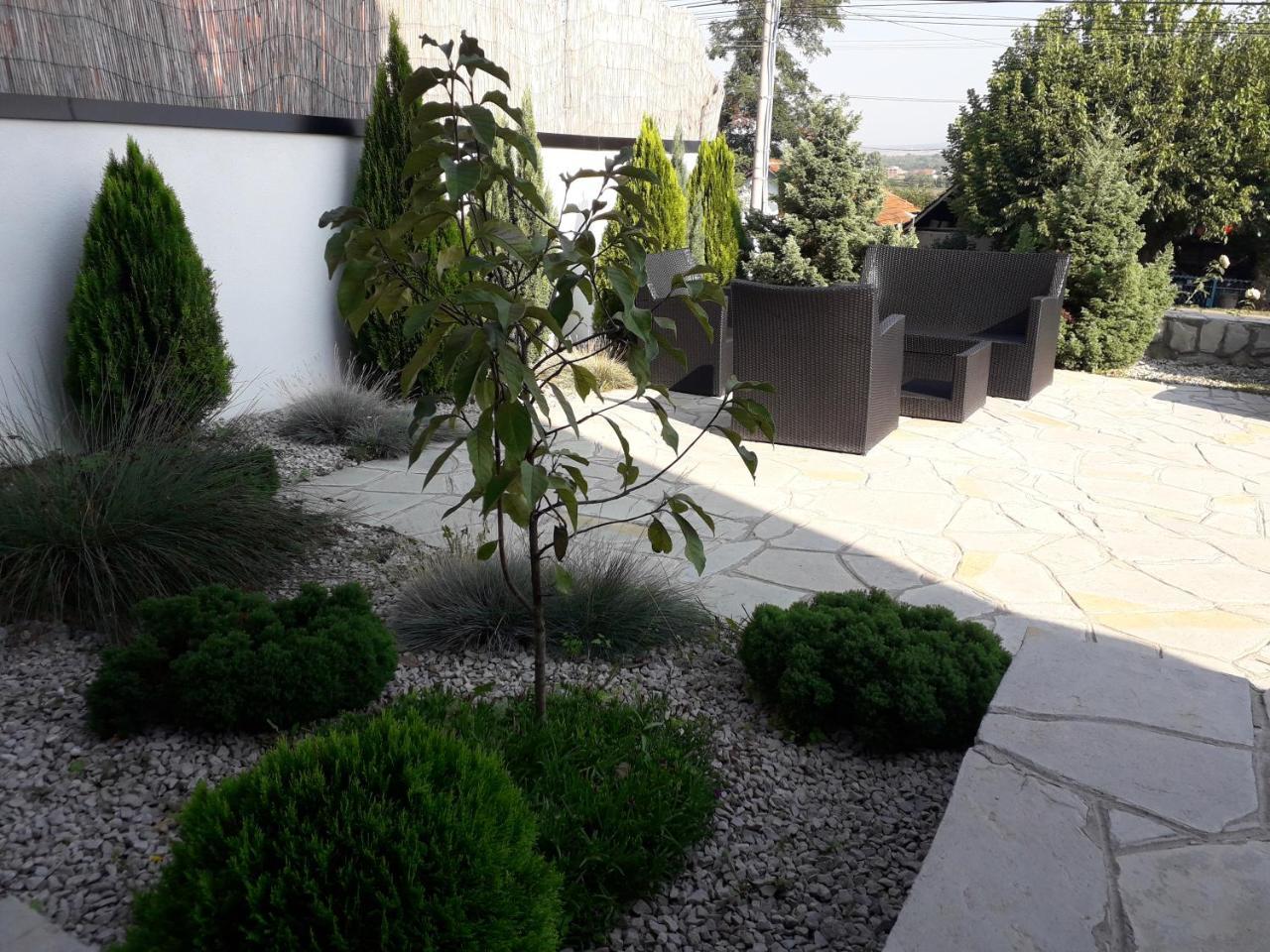 Guest House Vila Salute Ni Екстериор снимка